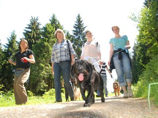 2009-05-24_ntb_1296