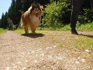 2009-05-24_ntb_1297