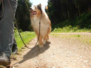 2009-05-24_ntb_1298