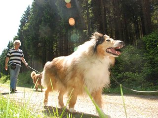 2009-05-24_ntb_1299