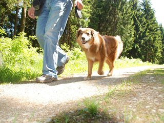 2009-05-24_ntb_1301