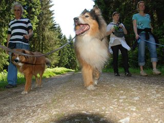 2009-05-24_ntb_1302