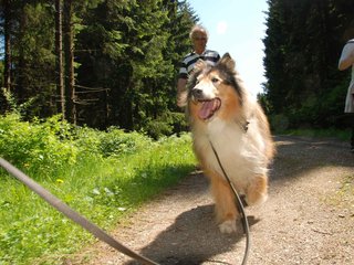 2009-05-24_ntb_1303