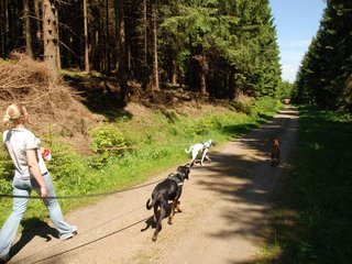 2009-05-24_ntb_1304