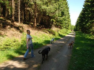 2009-05-24_ntb_1305
