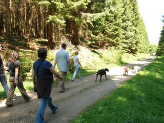 2009-05-24_ntb_1306