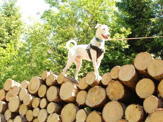 2009-05-24_ntb_1308