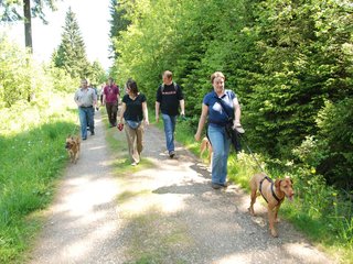 2009-05-24_ntb_1310