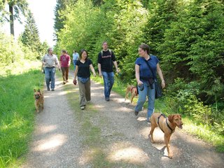 2009-05-24_ntb_1311
