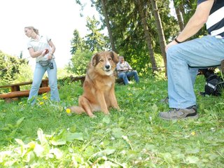 2009-05-24_ntb_1313