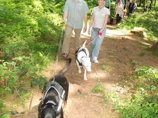 2009-05-24_ntb_1319