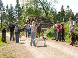 2009-05-24_ntb_1331