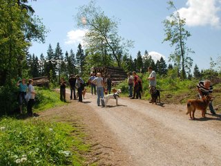 2009-05-24_ntb_1332