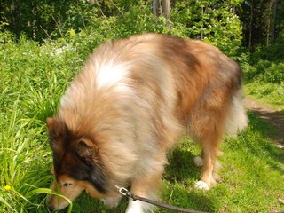 2009-05-24_ntb_1334