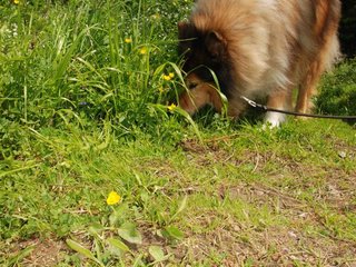 2009-05-24_ntb_1335