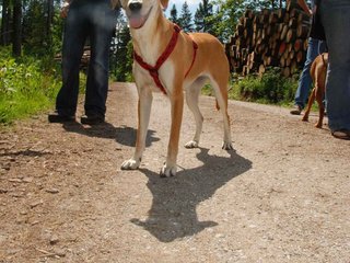 2009-05-24_ntb_1336