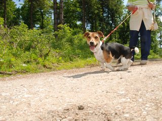 2009-05-24_ntb_1337