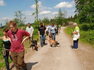2009-05-24_ntb_1338