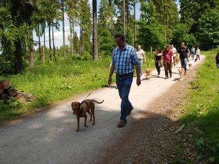 2009-05-24_ntb_1343