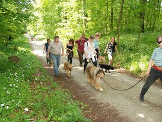 2009-05-24_ntb_1351