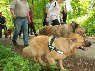 2009-05-24_ntb_1352