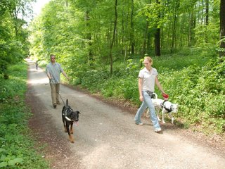 2009-05-24_ntb_1353
