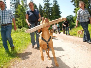 2009-05-24_ntb_1354