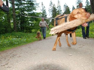 2009-05-24_ntb_1355