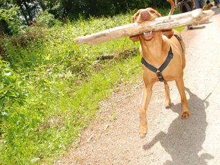 2009-05-24_ntb_1356