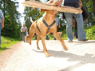 2009-05-24_ntb_1357