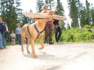 2009-05-24_ntb_1359
