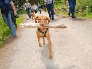 2009-05-24_ntb_1360