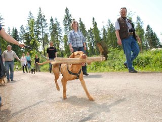 2009-05-24_ntb_1361