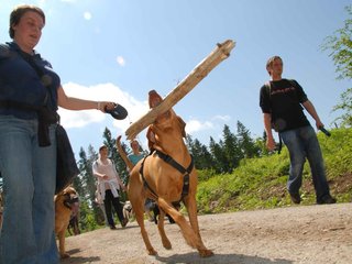2009-05-24_ntb_1362
