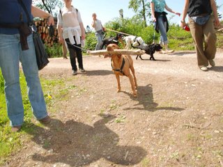 2009-05-24_ntb_1363