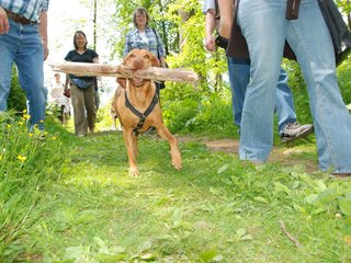 2009-05-24_ntb_1364