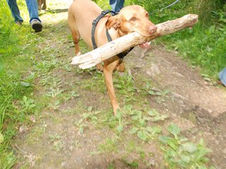 2009-05-24_ntb_1365