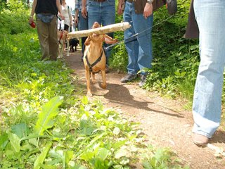 2009-05-24_ntb_1366