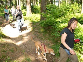 2009-05-24_ntb_1369
