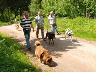 2009-05-24_ntb_1373