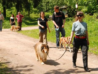 2009-05-24_ntb_1374