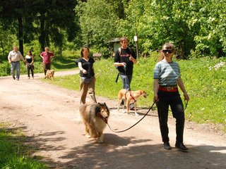 2009-05-24_ntb_1375
