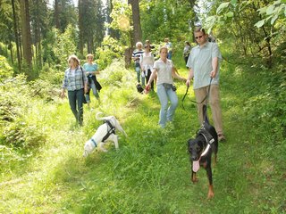 2009-05-24_ntb_1378