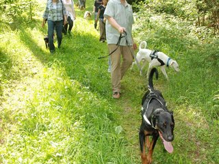 2009-05-24_ntb_1379