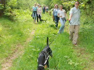 2009-05-24_ntb_1380