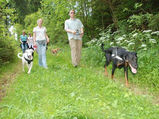 2009-05-24_ntb_1381