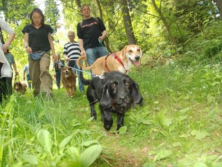 2009-05-24_ntb_1382