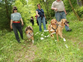 2009-05-24_ntb_1386