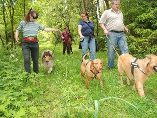 2009-05-24_ntb_1387