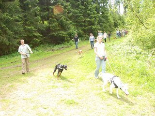 2009-05-24_ntb_1389